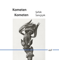 Safak Saricicek - Kometen Kometen - Gedichte.