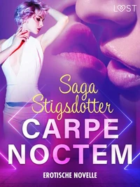 Carpe noctem - Erotische Novelle