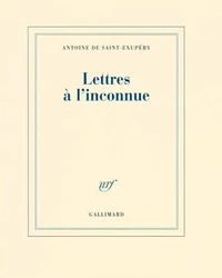 Lettres à l'inconnue