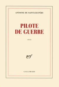 Pilote De Guerre