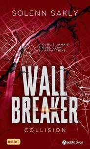 Wall Breaker - 1. Collision