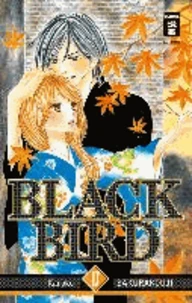 Black Bird 17