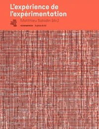 L'expérience de l'expérimentation