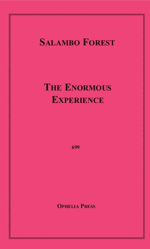 The Enormous Experience