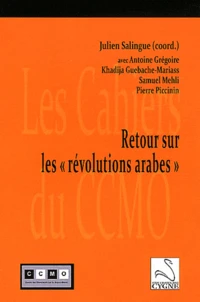 Retour sur les "révolutions arabes"