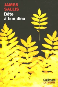 Bête à bon dieu