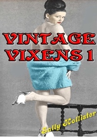  Sally Hollister - Vintage Vixens 1 - Vintage Vixens, #1.