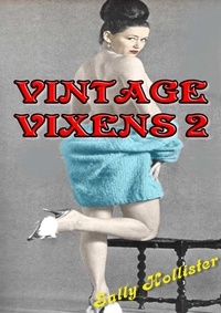  Sally Hollister - Vintage Vixens 2 - Vintage Vixens, #2.