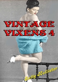  Sally Hollister - Vintage Vixens 4 - Vintage Vixens, #4.