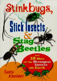 Stinkbugs, Stick Insects & Stag Beetles