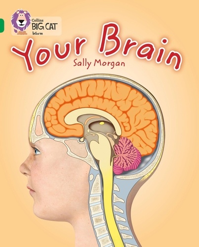 Sally Morgan - Your Brain - Band 15/Emerald.