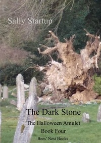  Sally Startup - The Dark Stone - The Halloween Amulet, #4.