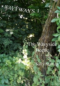  Sally Startup - The Wavyside Beetle.