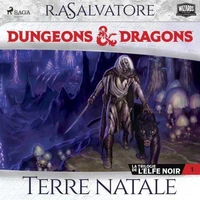 La Trilogie de l'Elfe noir – tome 1 – Terre natale
