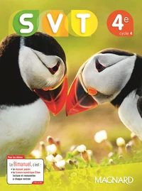 SVT 4e