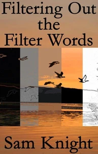 Filtering Out the Filter Words