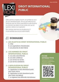 Droit international public