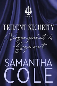 Trident Security: Vergangenheit &amp; Gegenwart