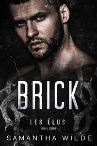 Brick (French Edition)