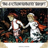 The Extraordinary Knight