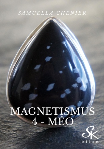 Magnetismus 4. Méo