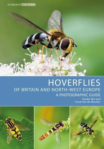 Hoverflies of Britain and North-West Europe