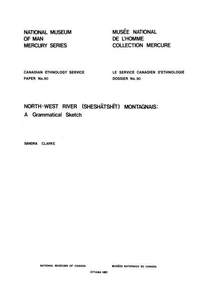 North-West River (Sheshatshit) Montagnais :a grammatical sketch