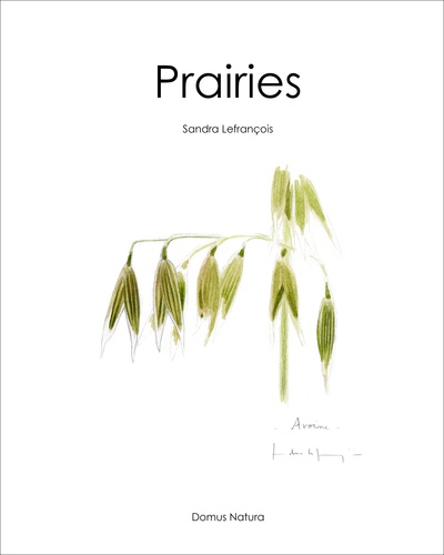 Prairies. Papillons et plantes champêtres de nos contrées