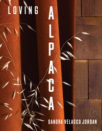 Loving alpaca