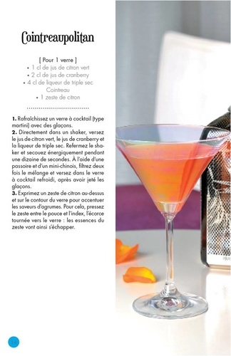 Cocktail Party. Coffret livre + shaker + pilon + presse-agrumes + doseur