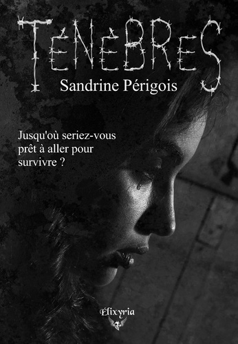 Sandrine Périgois - Ténèbres.