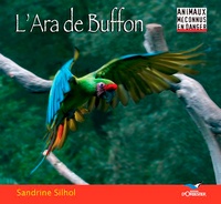 Sandrine Silhol - L'Ara de buffon.