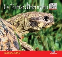Sandrine Silhol - La Tortue d'Hermann.