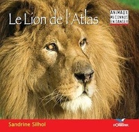 Sandrine Silhol - Le lion de l'Atlas.