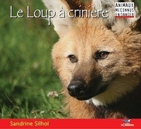 Sandrine Silhol - Le Loup à crinière.