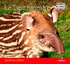 Sandrine Silhol - Le tapir terrestre.