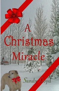 A Christmas Miracle
