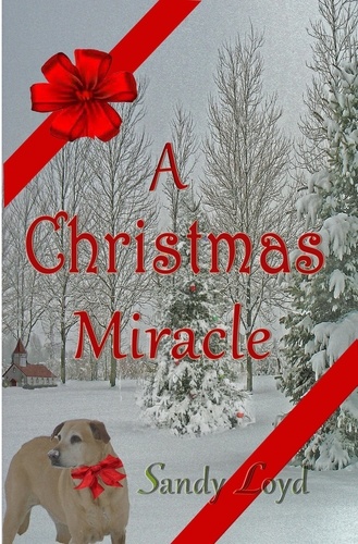  Sandy Loyd - A Christmas Miracle - Christmas Miracle Series, #1.