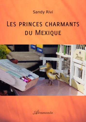 Sandy Rivi - Les princes charmants du Mexique.