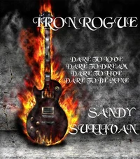 Iron Rogue Box Set