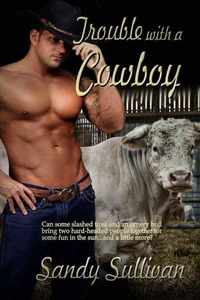 Trouble with a Cowboy