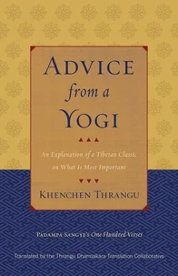 Advice from a Yogi