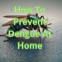 How To Prevent Dengue At Home
