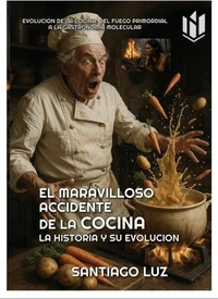 El maravilloso accidente de la cocina