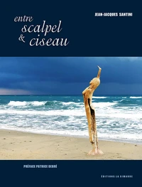Entre scalpel & ciseau