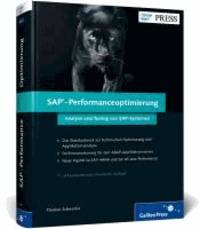 SAP-Performanceoptimierung - Analyse und Tuning von SAP-Systemen.