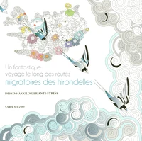 Un fantastique voyage le long des routes migratoires des hirondelles