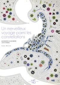 Un merveilleux voyage parmi les constellations