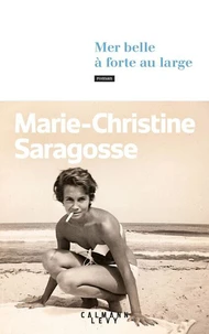 Mer belle à forte au large