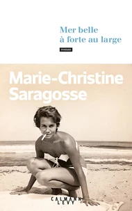 Mer belle à forte au large